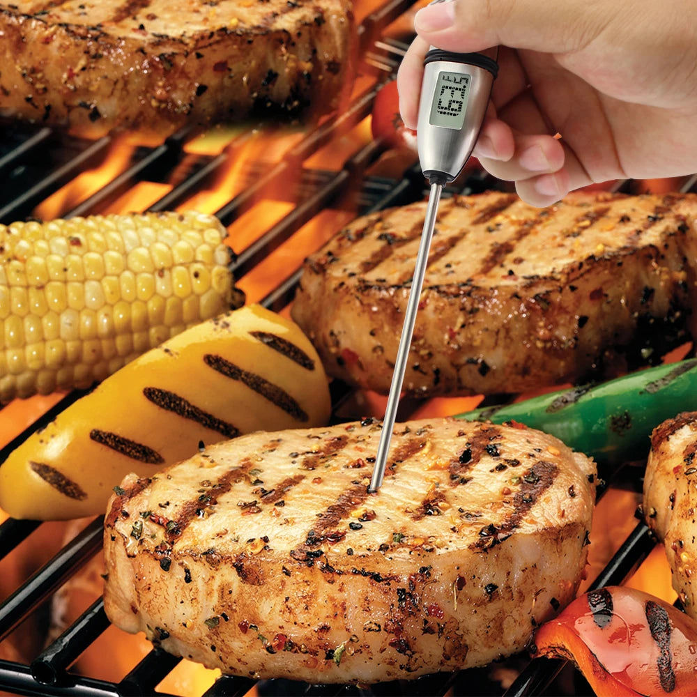 Modern Digital Meat Thermometer