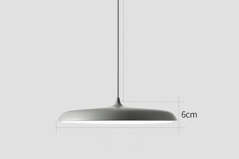 Luxury Stylish LED Pendant Dish Lamp