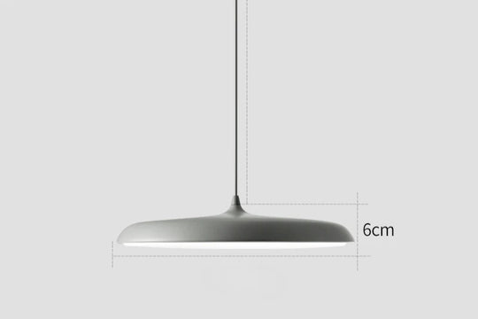 Luxury Stylish LED Pendant Dish Lamp