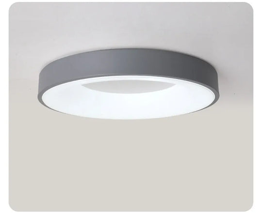 Oval Led Ceiling Light