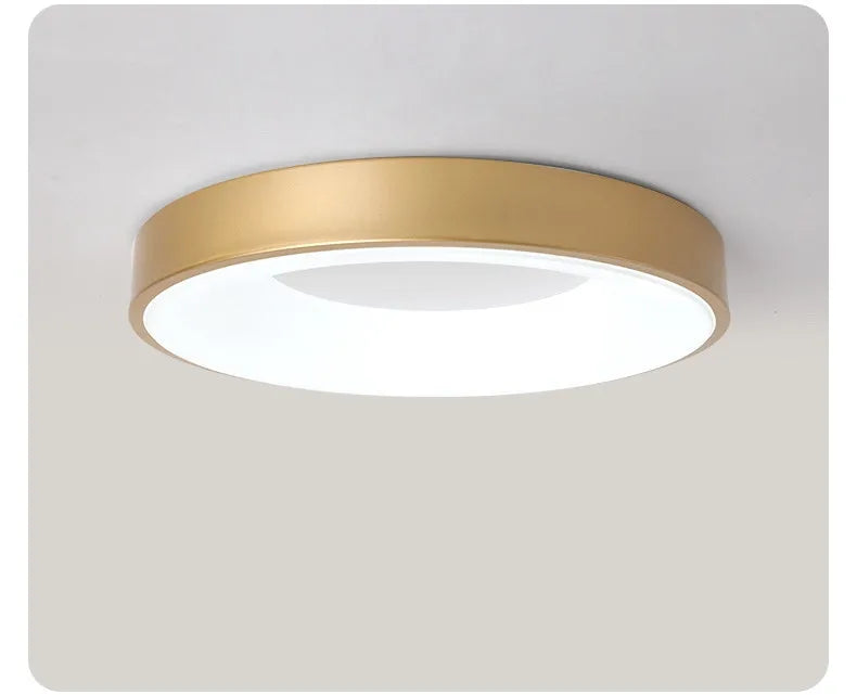 Oval Led Ceiling Light