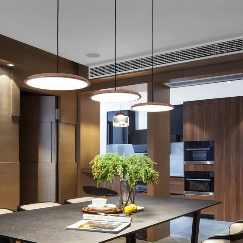 Luxury Stylish LED Pendant Dish Lamp