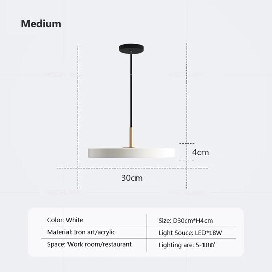 Contemporary Minimalist Table LED Pendant Light