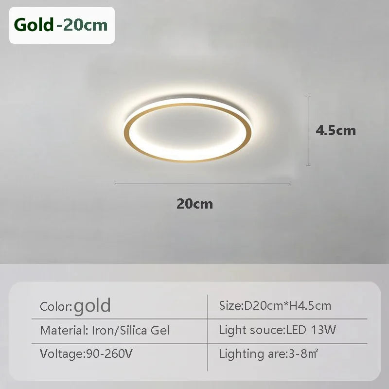 Contemporary LED Ring Light