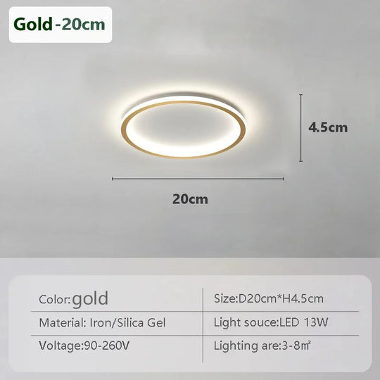 Contemporary LED Ring Light