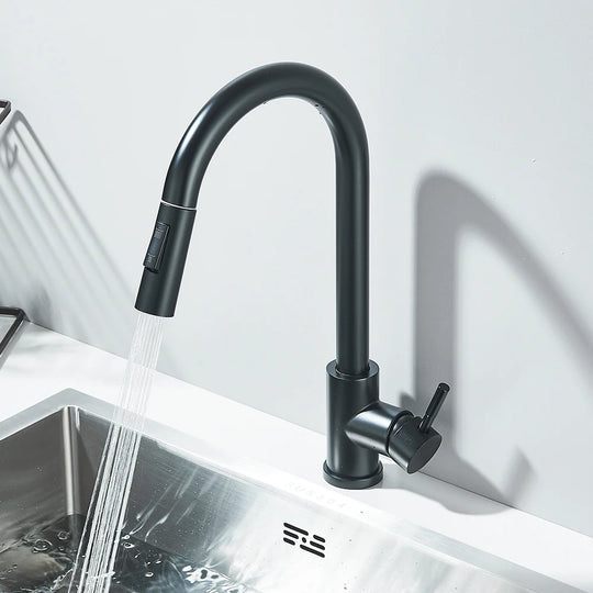 Black Pull Out Kitchen Faucet