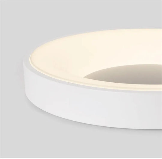 Oval Led Ceiling Light