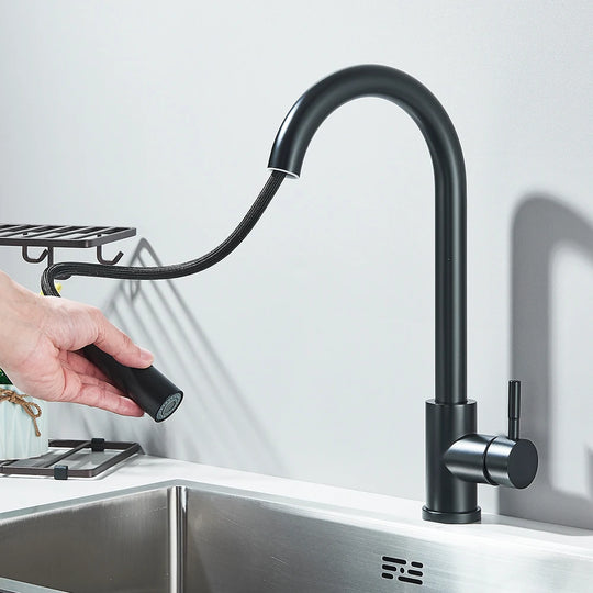 Black Pull Out Kitchen Faucet