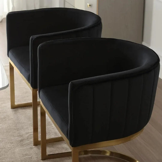 Curved Dining Chairs Set of 2, with Gold Legs