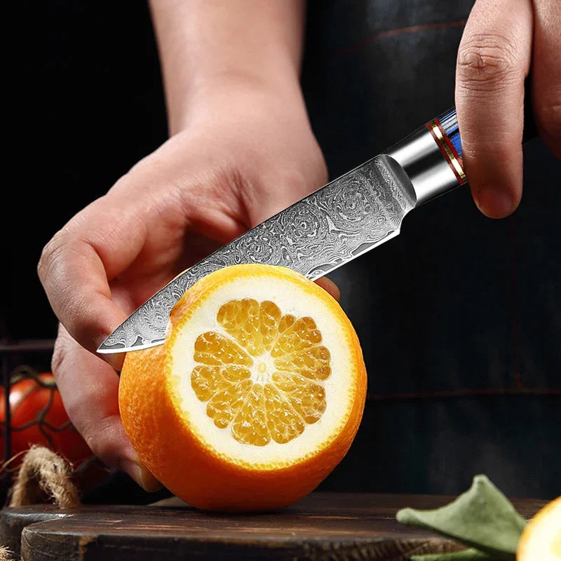 Damascus Paring Knife 3.5 Inch
