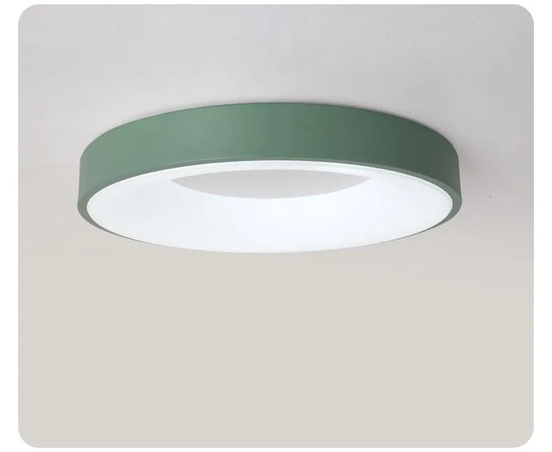 Oval Led Ceiling Light