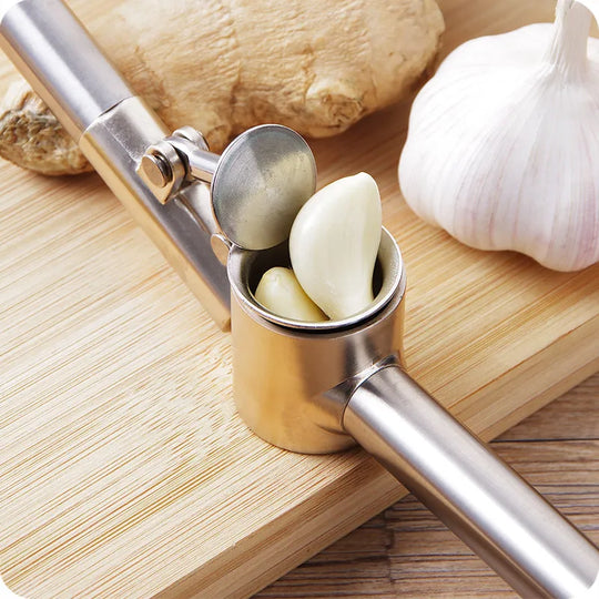 Stainless Steel Garlic Press