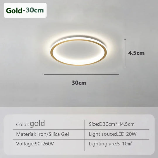 Contemporary LED Ring Light