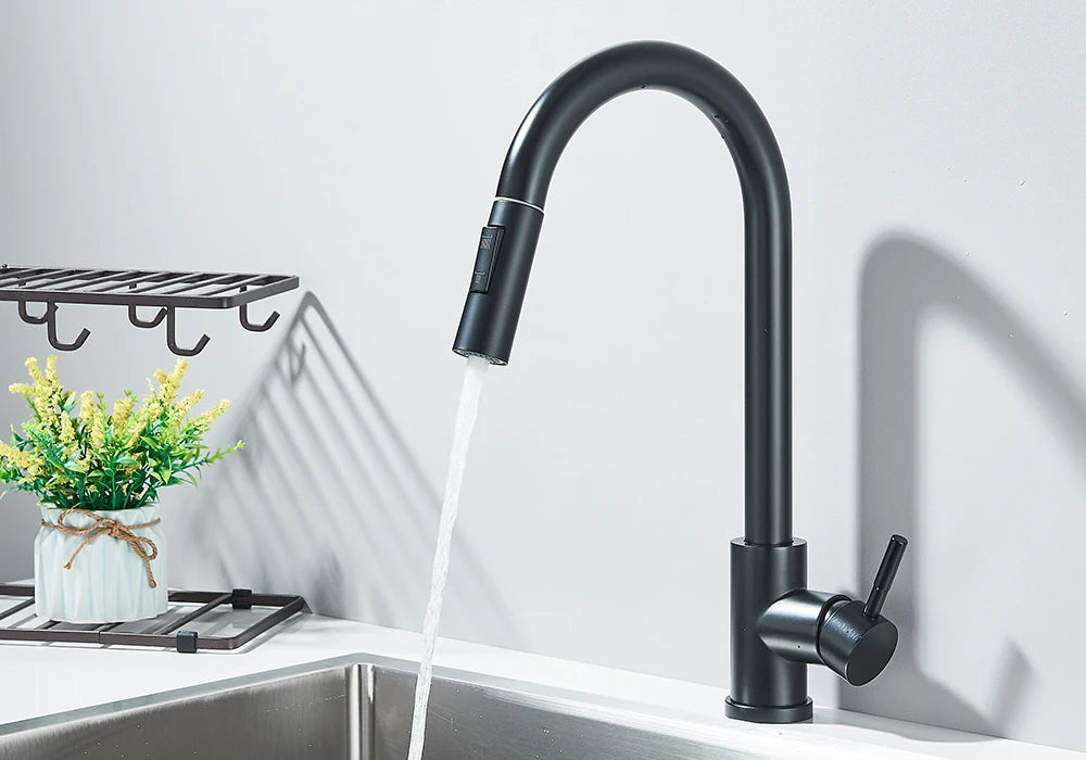 Black Pull Out Kitchen Faucet