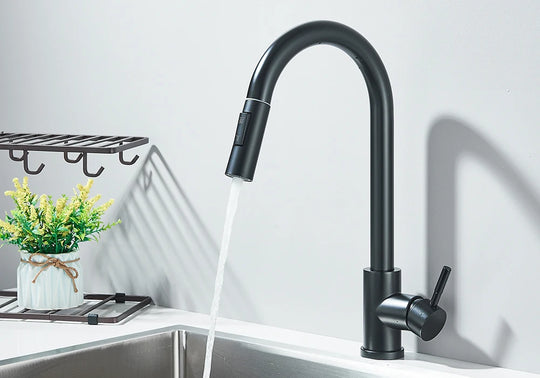 Black Pull Out Kitchen Faucet