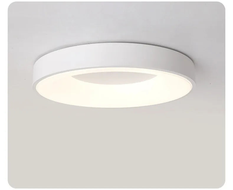 Oval Led Ceiling Light